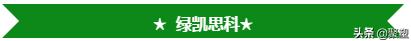 化纤纤维破碎机