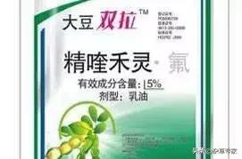 葡萄园杂草，到底能不能用除草剂？注意！3种禁用！但可用5种方法3