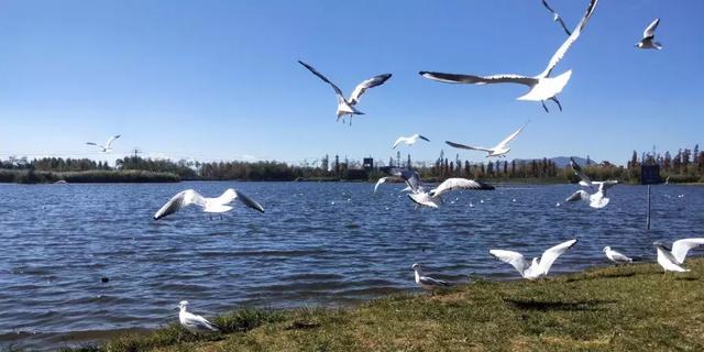 昆明海拔高度 昆明海拔高度（云南昆明海拔高度） 生活