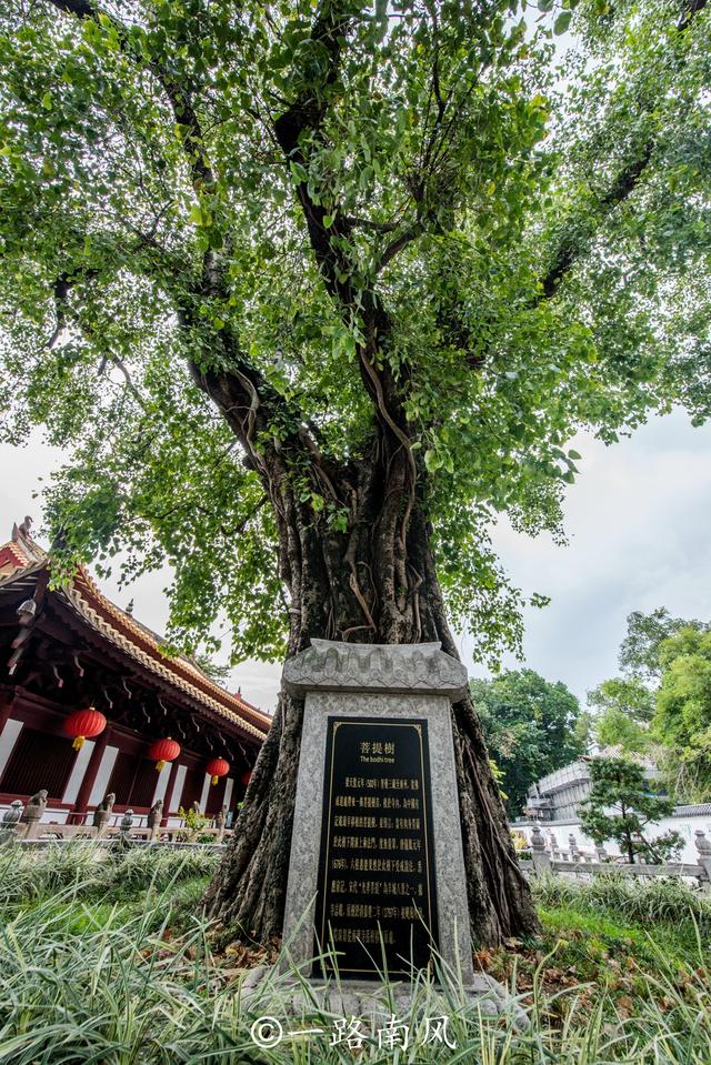 广州光孝寺