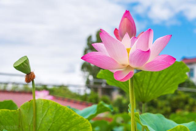 治愈系朋友圈文案，送给努力拼搏的自己