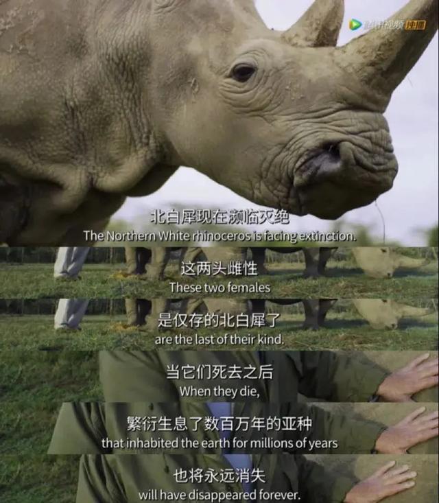 16部超赞自然纪录片，让孩子足不出户看到地球的“真实面目”！