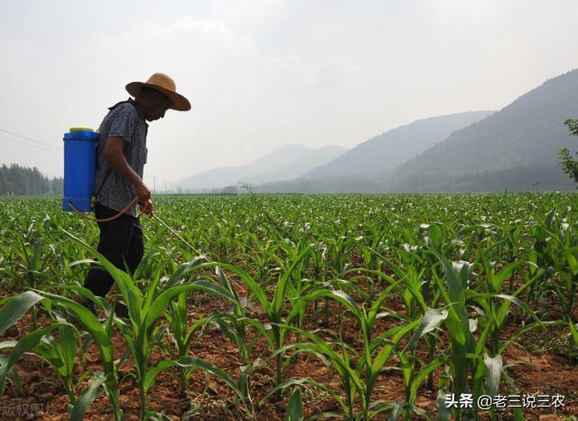 除草剂怎么用？什么时间用？记住这个简单办法，亩收1000斤不发愁2