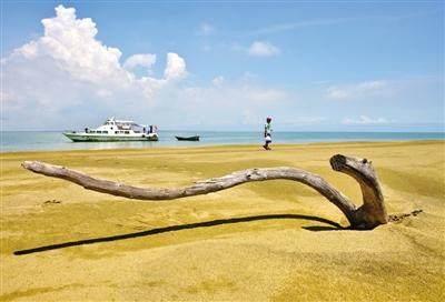 湛江制砂机批发