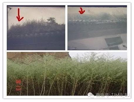 徐州全自动陶瓷过滤机厂家
