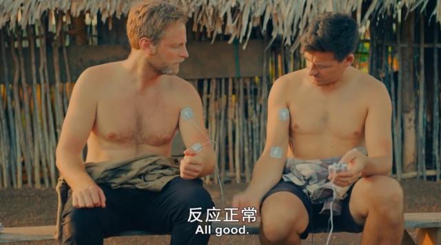 金属破碎机每日开机前必做检查比例失重调整