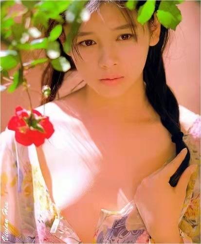 已背叛祖国的明星名单大全，已背叛祖国的明星名单图片