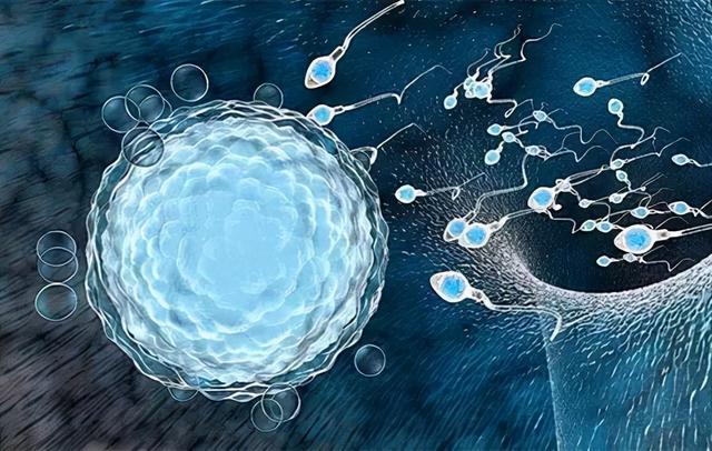 为啥有的人一直生儿子，而有的人一直生女儿？看完涨知识了