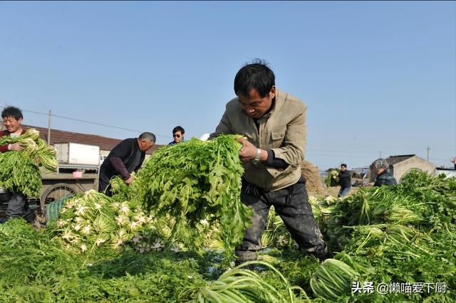 梅干菜