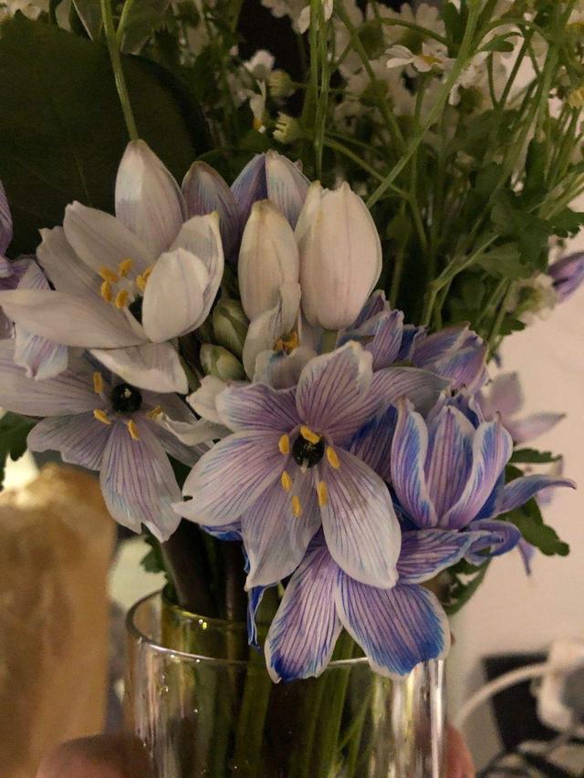 花卉名称