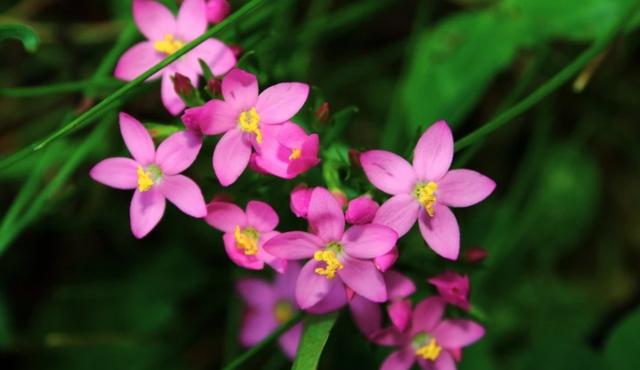 9月25日愛情運勢默契配合感情升溫的四大星座 Kks資訊網