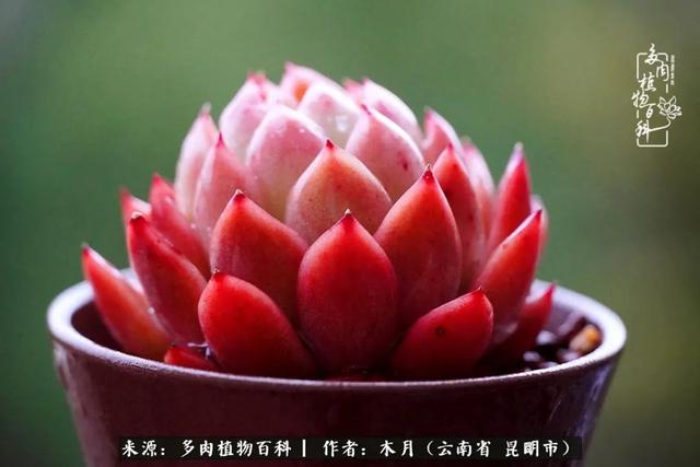 安康石英砂洗砂机厂家电话