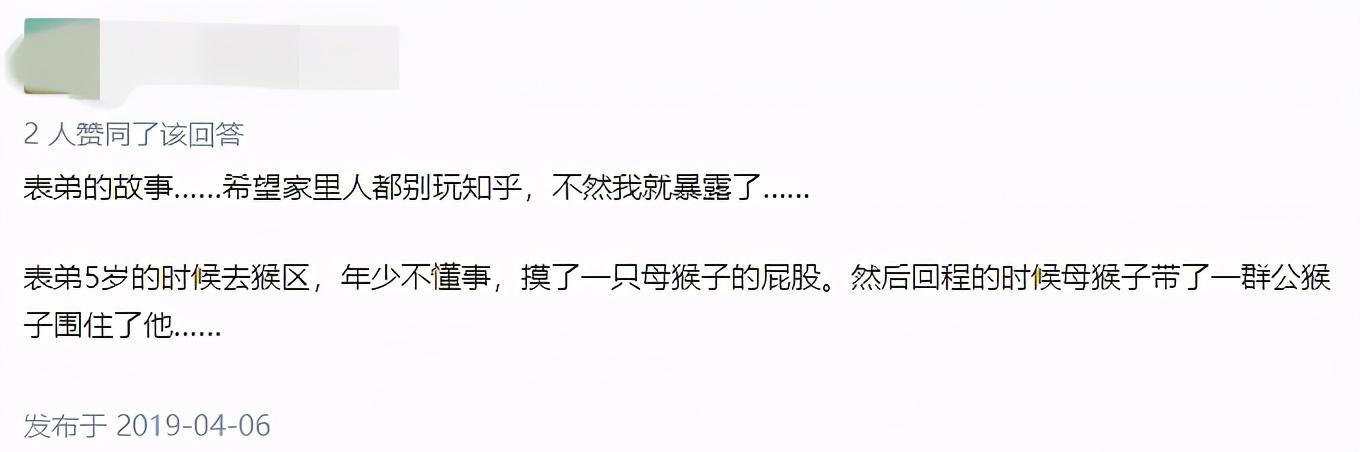 峨眉山猴子:为什么峨眉山的猴子像土匪？