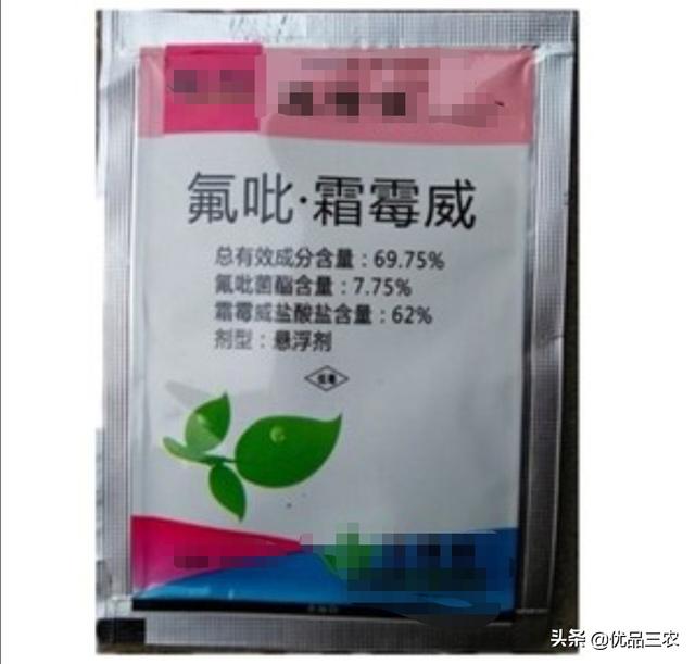 防治霜霉病，目前最牛的3个药，相信大家都用过，你觉哪个更好？2