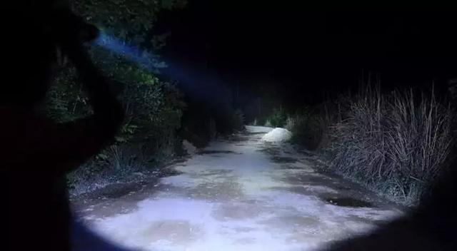 置之不理的置什么意思 置之不理的置什么意思（置之不理的理什么意思） 生活