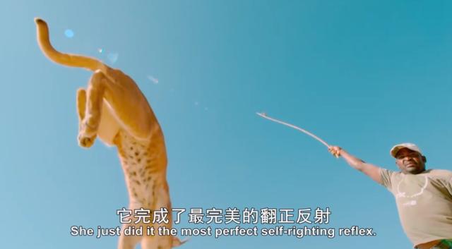 金属破碎机每日开机前必做检查比例失重调整