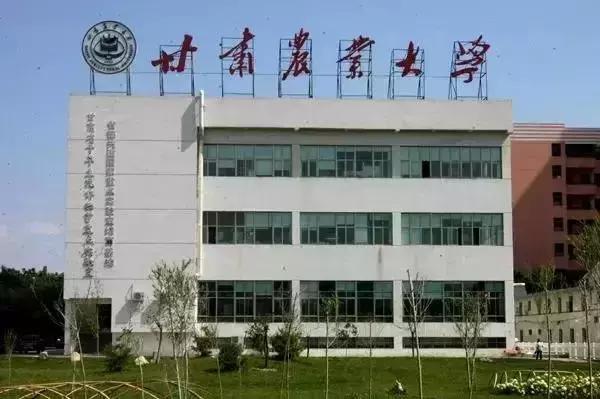 威龙综合破碎机3000