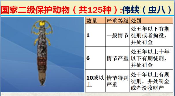 国家二级保护动物有哪些