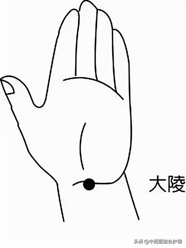 「穴位经络养生」穴位就是中药，经络就是药房！经常按摩穴位，太有用了！收藏吧