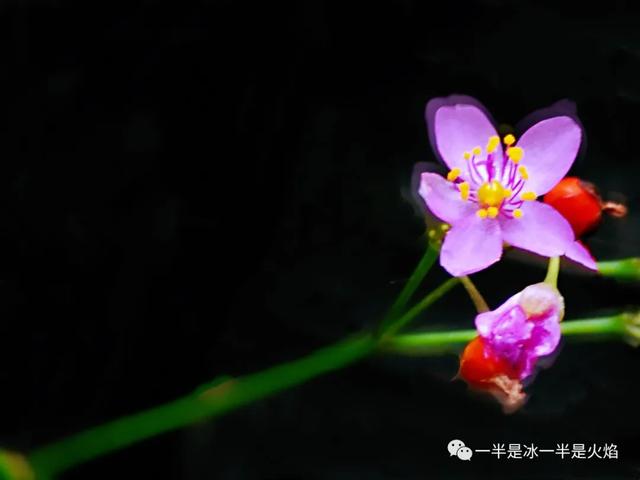 随笔：清秋寄语