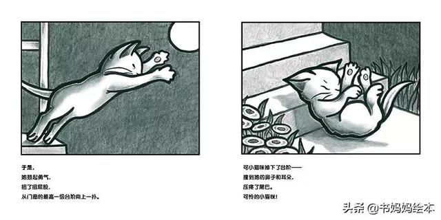 猫咪主题绘本推荐｜和孩子一同打开喵星人的世界
