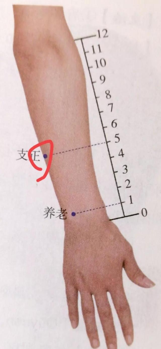 支正定位的准确位置图图片