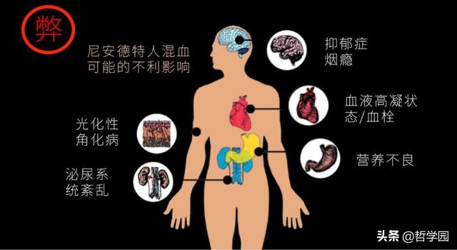 拉萨卧式过滤机