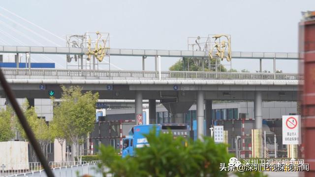 重磅巨客造访深圳的背后，我们看到了三层内涵丨深政一周