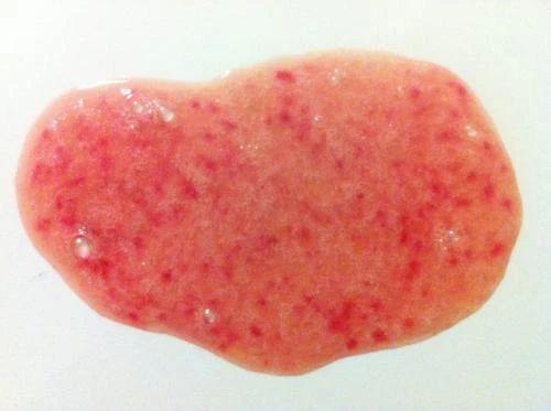 狗狗呕吐没有吐出食物(狗狗呕吐需要禁食么)-艾拉狗狗乐园