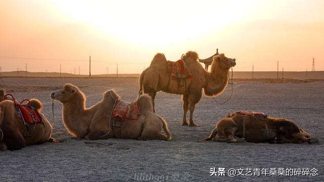 张掖过滤机