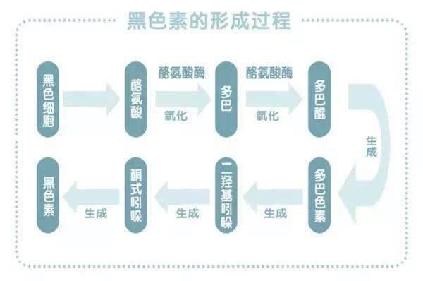 凡士林身体乳的香味是哪种