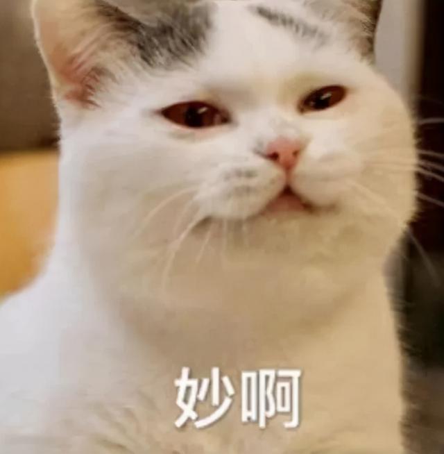 网传腾讯员工年收入250万？人均存款6万元的我们，该怎么办？