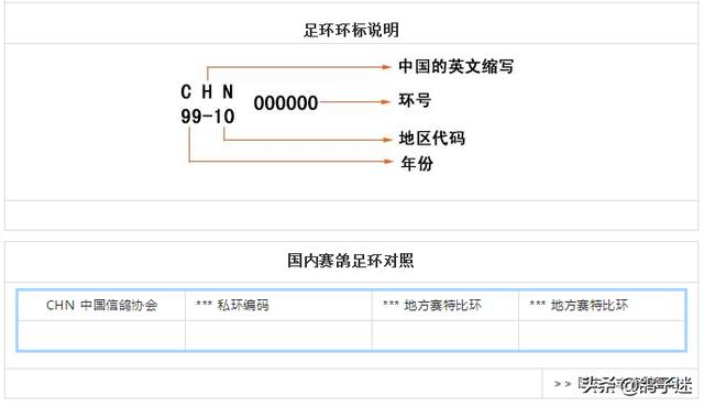 北京信鸽足环号查询