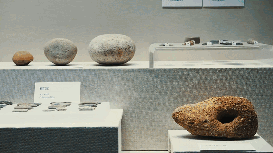 嘉鱼博物馆新馆展陈工程结果