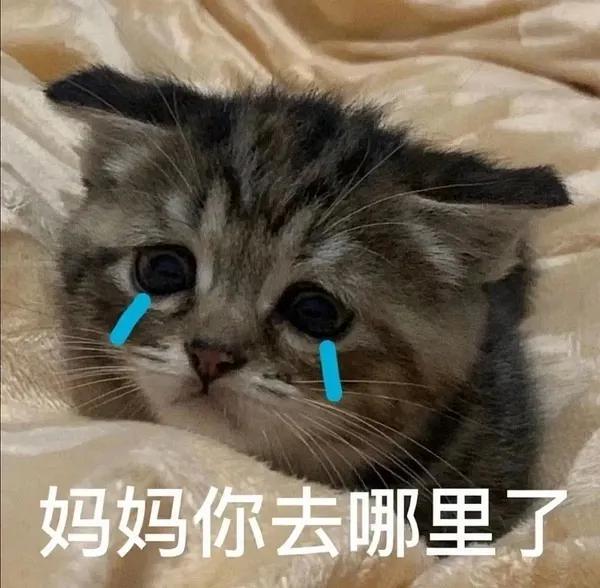 需要爸爸妈妈系列表情包