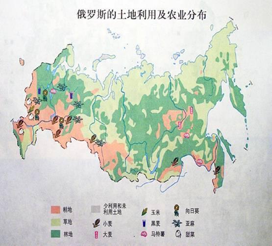 印度的全球耕地面积第三大***,然而俄罗斯的人口却只有美国的44%左右