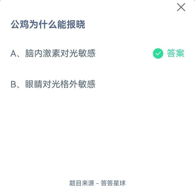 公鸡为什么会报晓