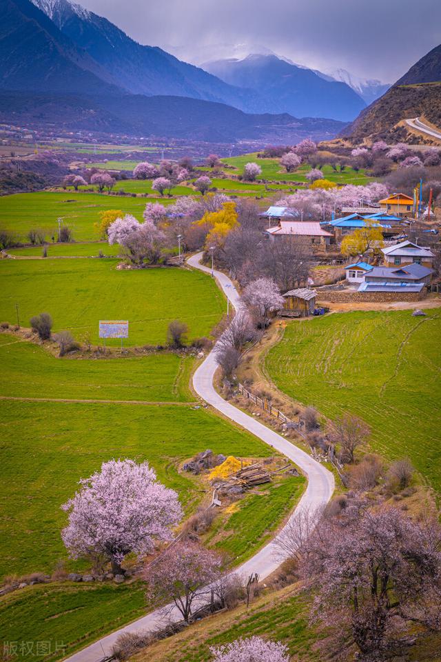 西藏风景