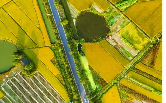 粮价？特肥？未来几年，农资行业的焦点在这里