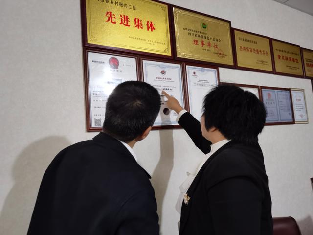 阆中木材破碎机