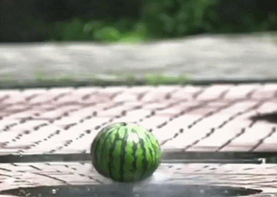 暑期四大安全隐患 用绘本帮你一次性说清楚 今日热点