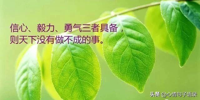 感悟人生哲理的20句经典句子，句句让人感悟深刻