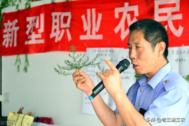 除草剂怎么用？什么时间用？记住这个简单办法，亩收1000斤不发愁10