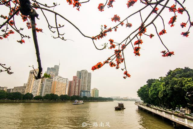 广州市市花