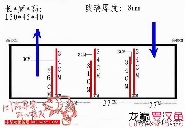 底部过滤