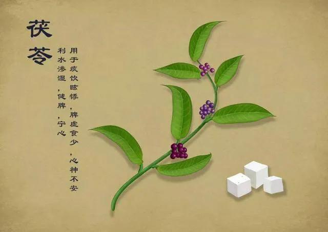 阴阳两虚、气血亏虚、寒热虚实庞杂,但虚不受补,常用仲景薯蓣丸8357 作者:admin 帖子ID:12919 阴阳两虚、气血亏虚、寒热虚实庞杂,但虚不受补,常用仲景薯蓣丸8357 作者:admin 帖子ID:12919