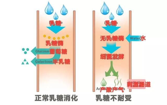 消化系统不好怎么办