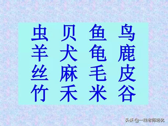 象形字有哪些 象形字有哪些（仰视取象的象形字有哪些） 生活