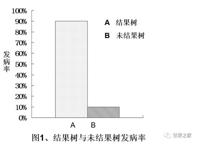 独家发布｜谨防苹果枝干裂皮病！4