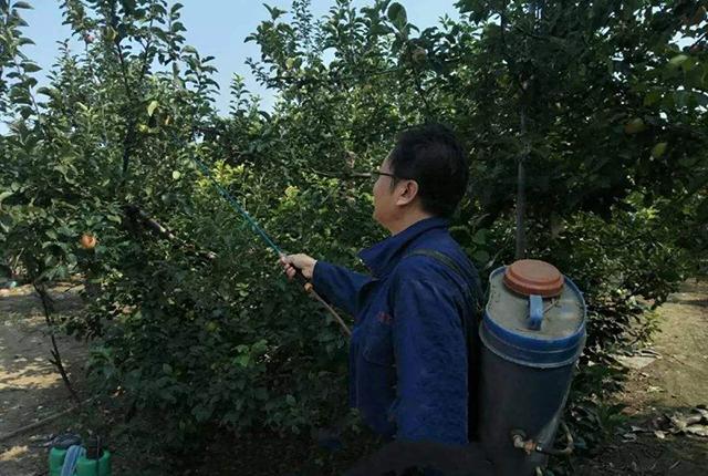 草铵膦与这药混配，对32种杂草一扫光，7天死草，60天不长草7